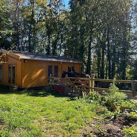 Gites Du Bois Des Perruches Saint-Vincent-des-Bois Luaran gambar