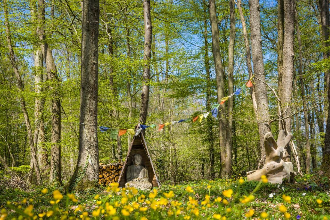Gites Du Bois Des Perruches Saint-Vincent-des-Bois Luaran gambar