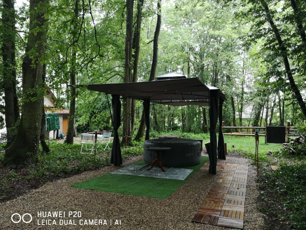 Gites Du Bois Des Perruches Saint-Vincent-des-Bois Luaran gambar