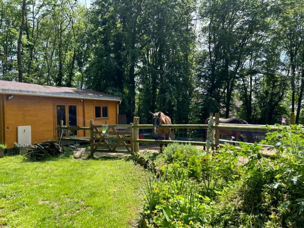 Gites Du Bois Des Perruches Saint-Vincent-des-Bois Luaran gambar