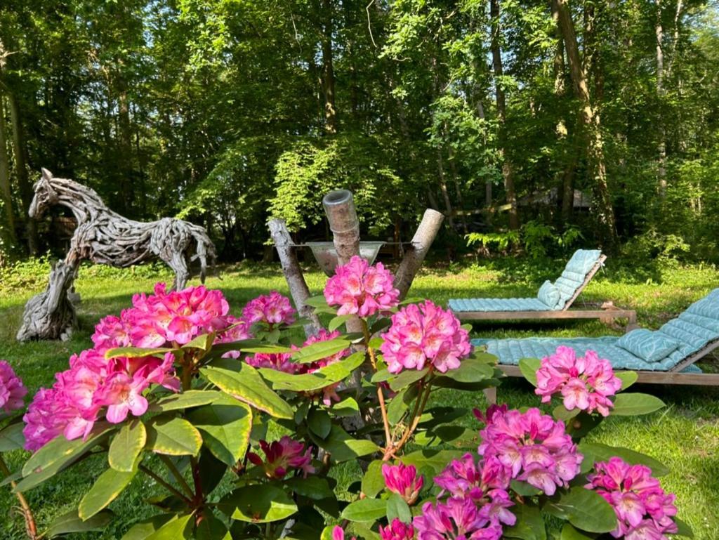 Gites Du Bois Des Perruches Saint-Vincent-des-Bois Luaran gambar