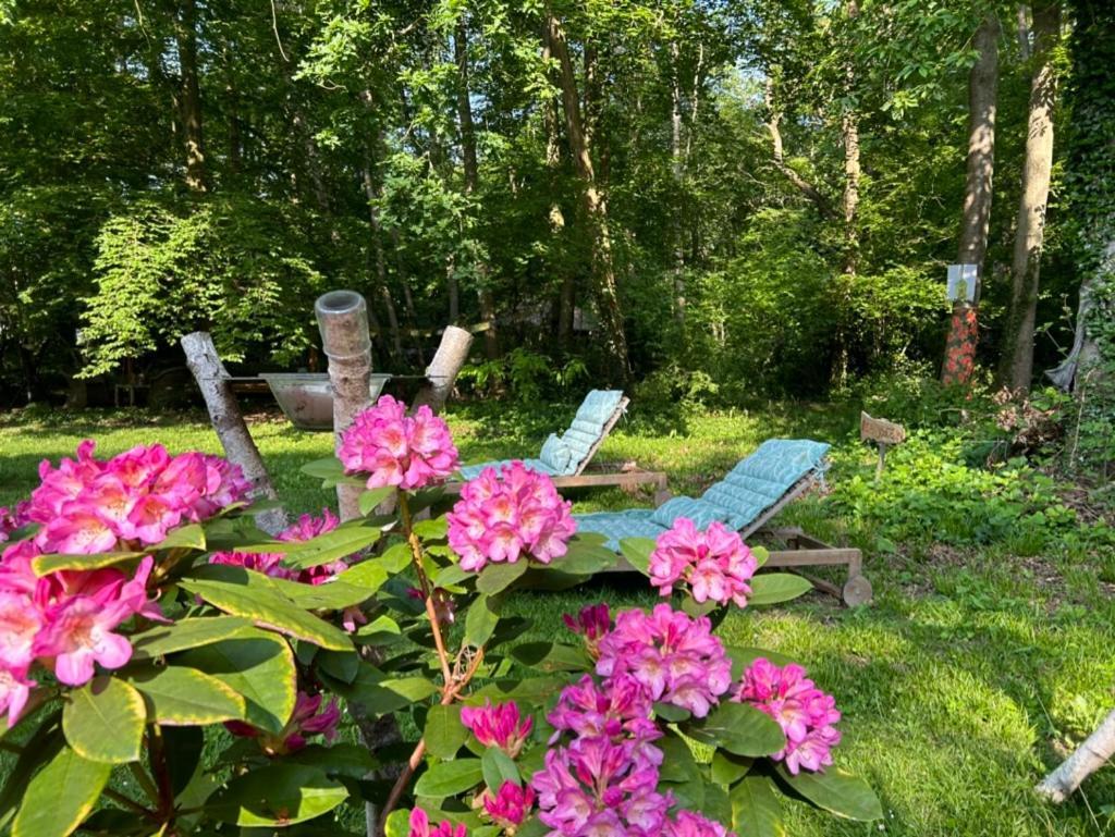 Gites Du Bois Des Perruches Saint-Vincent-des-Bois Luaran gambar