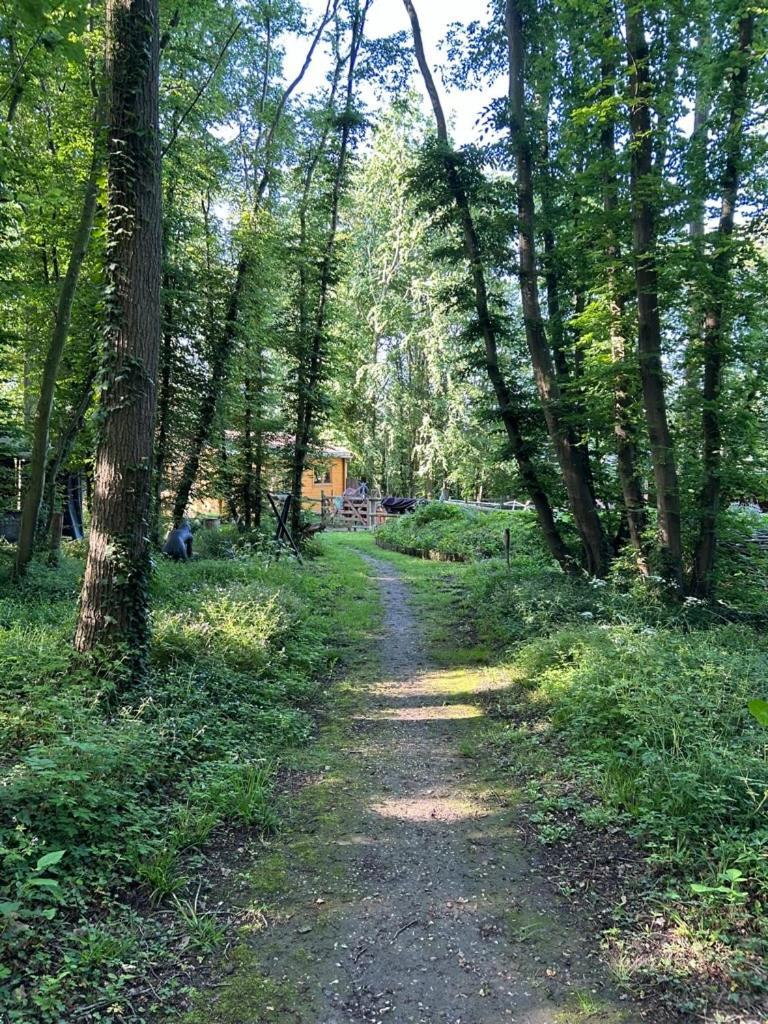 Gites Du Bois Des Perruches Saint-Vincent-des-Bois Luaran gambar